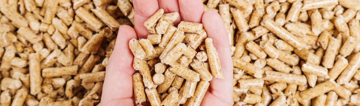 Pellets Energy. Pellets on the table